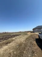 ������ ������� �. �����������. 20����., ���, �������������, ������������� ����