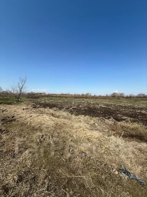 ������ ������� �. �����������. 20����., ���, �������������, ������������� ����