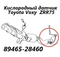 ������ ����������� Toyota Voxy 2007 8946528460 ZRR75 3ZR 8946528460 ����