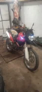 Irbis. 250����. ��., ��������, ���������, ��� ������� ����
