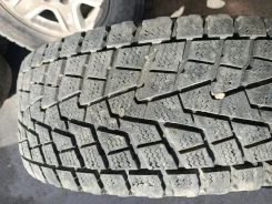 Bridgestone Winter Dueler DM-Z2. �����������, �/�, ����� 25 % ����
