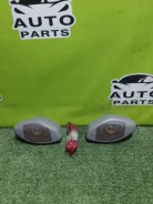 ������� ����