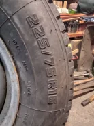 Forward Professional 219. ������, ����������, �/�, ����� �� 5 % ����