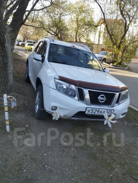 Nissan Terrano. �������, ��������, 2.0 (135��.�.), ������, 107 000����. �� ����