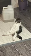 �����. ����