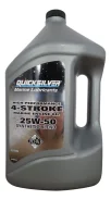 Quicksilver