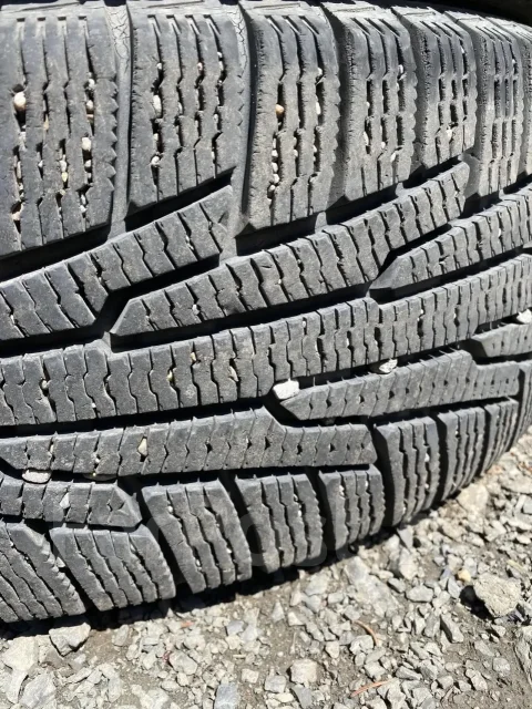 Nordman RS2. ������, ��� �����, �/�, ����� 25 % ����