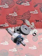 ������� SDM5545PN SDM5545PN ����