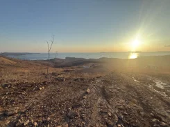 ������� � ����� �� ����. 10����., ���, �������������, �������������, ���� ����