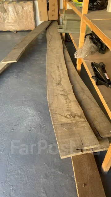 ������ ������������� ����