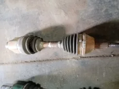 ������ ���� ����� ���� ������ ����