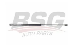 ����������� ��������� BSG BSG 40-980-010 BSG40980010 ����