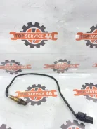 ������ ��������� Volkswagen Tiguan 03L906262B 5N2 CFFB 03L906262B ����
