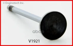 ������, 2,7L, ���������, V1921 Enginetech ���. V1921 V1921 ����