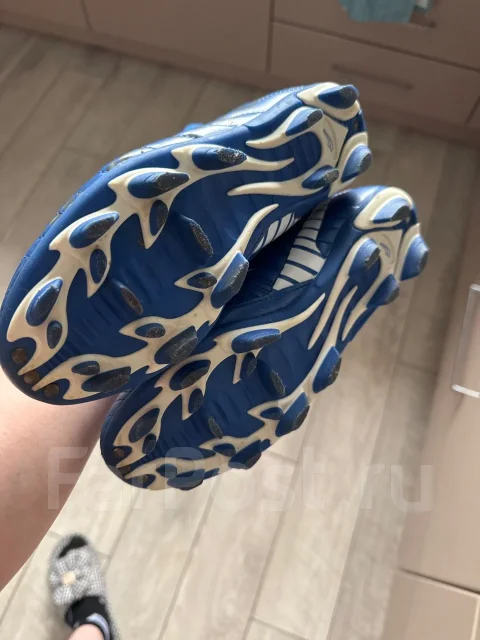�����. 36 ����