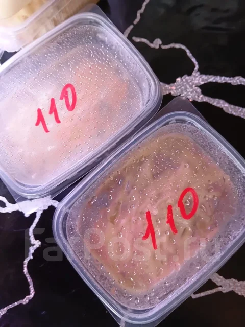 ����������� ����� ����