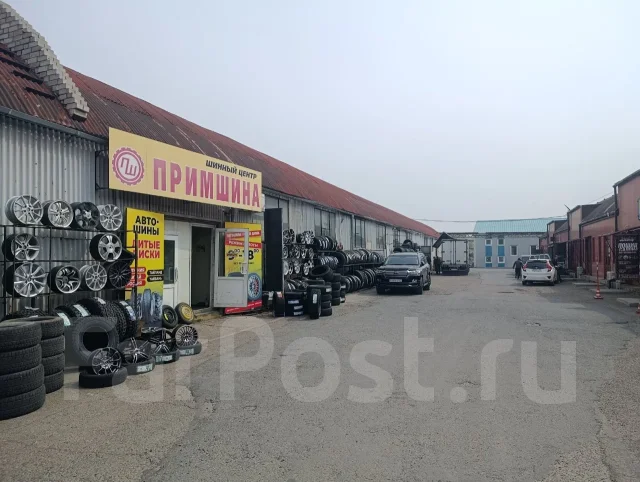 Gepormax Enterra RTV8. ����� at, 2026 ���, ����� ����