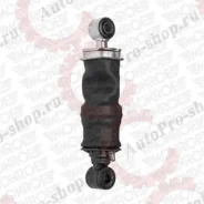 ����������� ������ ������ ������ Stralis CB0136 CB0136 ����
