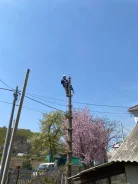 ���� ��������, ������� ��������, �����. ����