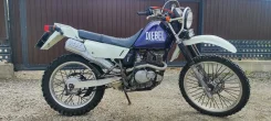 Suzuki Djebel 200. 200����. ��., ��������, ���������, ������ �� �� ����