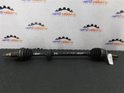 ������ Nissan Bluebird Sylphy 391004M405 QG10 QG18-DE, �������� ������ 391004M405 ����
