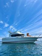 Bayliner. 2003 ���, ��������� ������������, ������ ����