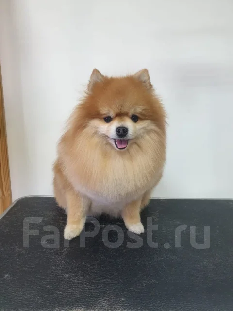 ����. ����