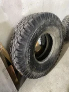 ���� �-151. �����������, 2025 ���, ����� ����