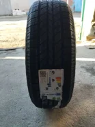 Evergreen. ������, 2024 ���, ����� ����