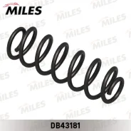 ������� ������ �������� VW GOLF V 03-08 (KYB RH5545) DB43181 Miles DB43181 DB43181 ����