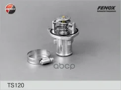 ��������� (+92�C) � ������� Fenox ���. TS120 TS120 ����