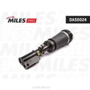 ����������������� �������� ������ X5 E53 DAS0024 ����
