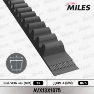 ������ ��������� �������� Miles AVX13X1075 AVX13X1075 ����