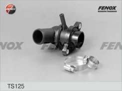 ��������� (+87�C) � ������� Fenox TS125 TS125 ����