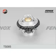��������� Fenox, +85�C, ���. TS085 TS085 ����