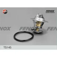 ��������� (+90�C) Fenox, ���. TS145 TS145 ����