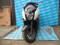 Honda Faze. 250����. ��., ��������, ���������, ��� ������� ����