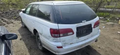 Nissan Expert. VEW11, YD22DD ����