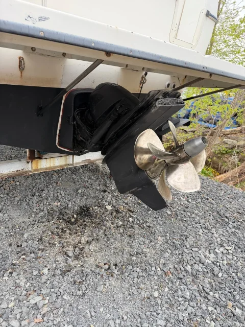 Bayliner. 2003 ���, ��������� ������������, ������ ����