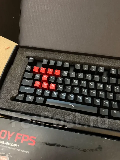 ����������. ����