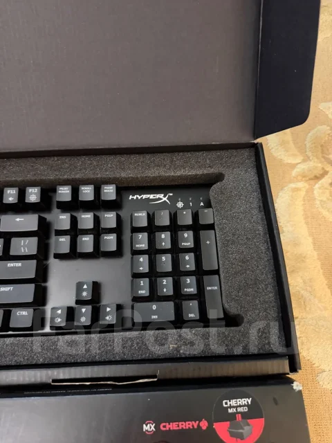 ����������. ����