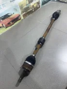 ������ ������ �������� ������ ����� Gs 49501A0100 ����