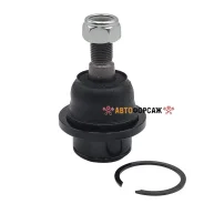 ����� ������� | ����� ����/��� | CTR CB0283 / CBMZ-36 CTR CB0283 ����