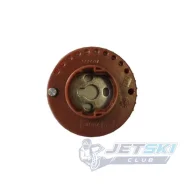 ��������� ����������� BRP 420254308 ����