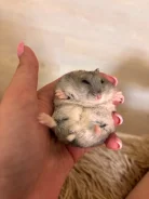 ������. ����