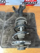 ������ �������� Nissan Primera 54303AW000 QP12, �������� ����� 54303AW000 ����