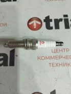 ����� ��������� Ti-GUAR [TG-22008N-8] TG22008N8 ����