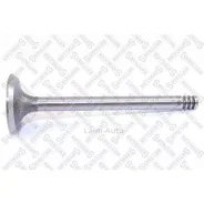 ������ �������� 34x8x104.8 VW Golf/Jetta/Passat/T3 1.6D 81 0123123SX ����