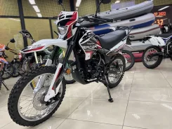 Racer Panther RC250GY-C2
