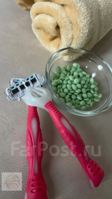 ��������. ����